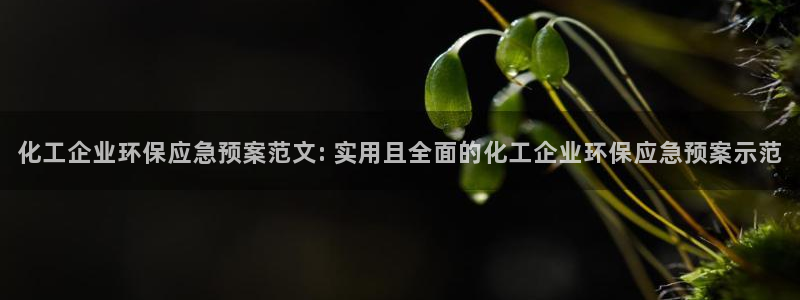 亿万先生手机版入：化工企业环保应急预案范文: 实用且全面的化工企业环保应急预案示范