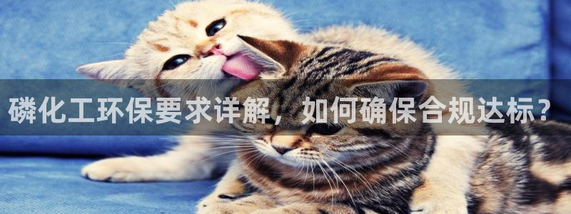 亿万先生客服联系：磷化工环保要求详解，如何确保合规达标？