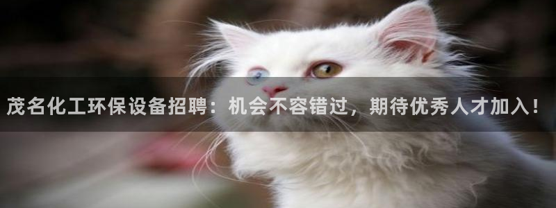 mr001亿万先生