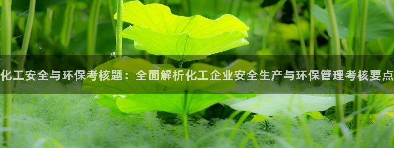 亿万下载徐家汇朋友圈说说：化工安全与环保考核题：全面解析化工企业安全生产与环保管理考核要点