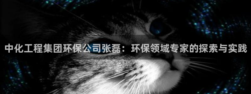 亿万网友在线解答：中化工程集团环保公司张磊：环保领域专家的探索与实践