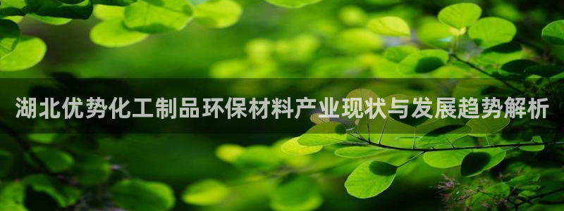 亿万先生客户端：湖北优势化工制品环保材料产业现状与发展趋势解析