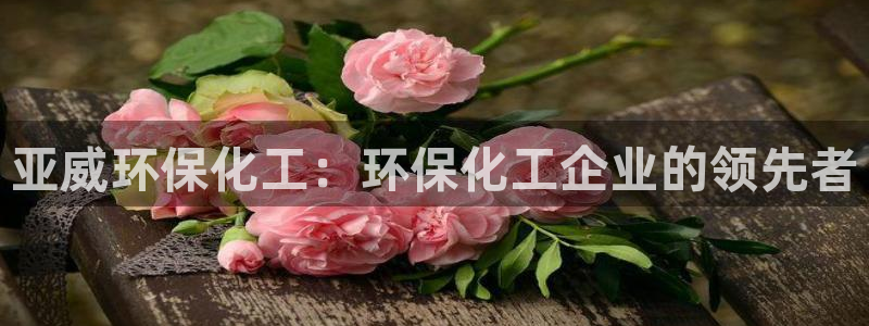 亿万先生官方网站：亚威环保化工：环保化工企业的领先者