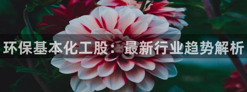 亿万剪辑：环保基本化工股：最新行业趋势解析
