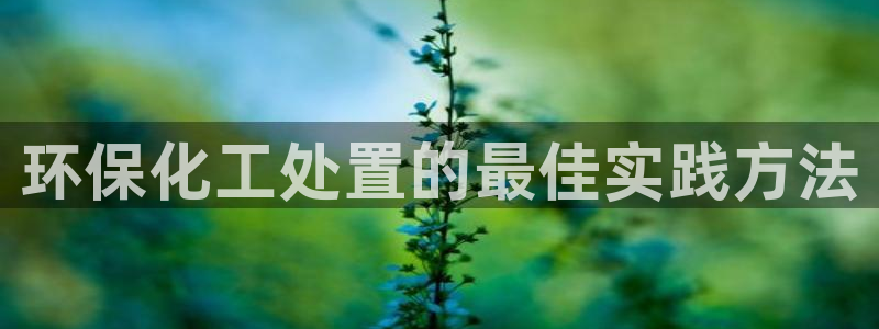 亿万先生客服联系：环保化工处置的最佳实践方法