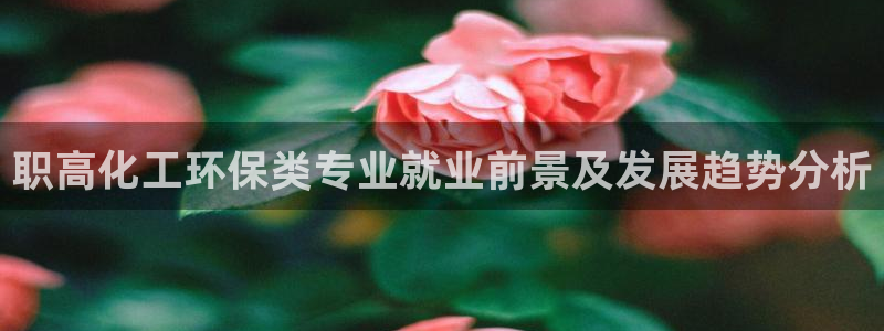 亿万先生mr01官网 - 亿万先生手机版入