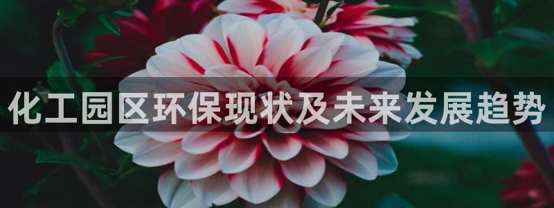 亿万讲了什么：化工园区环保现状及未来发展趋势