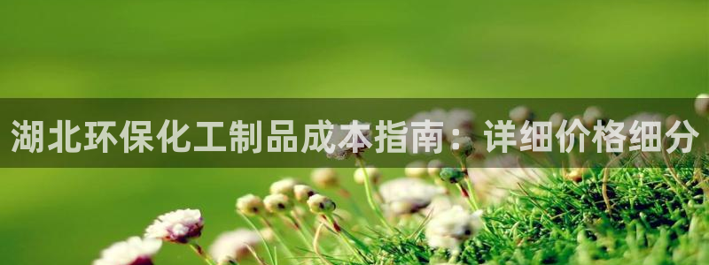 亿万先生客服联系方式查询：湖北环保化工制品成本指南：详细价格细分