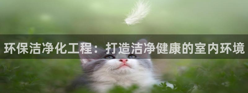 亿万先生网页版下载：环保洁净化工程：打造洁净健康的室内环境