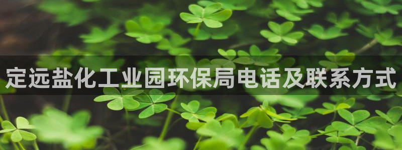 亿万先生客户端官网登录不了：定远盐化工业园环保局电话及联系方式