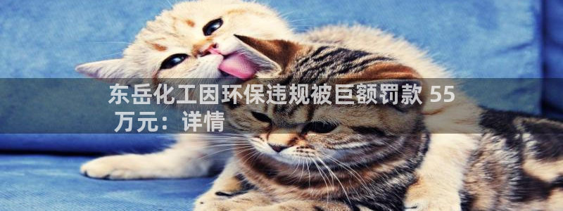 亿万先生mr014：东岳化工因环保违规被巨额罚款 55
 万元：详情