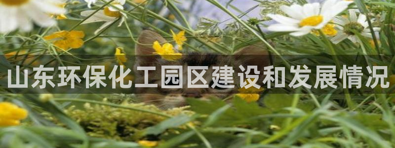 亿万百度吧：山东环保化工园区建设和发展情况
