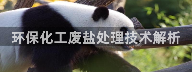 亿万国际游戏官网手机版：环保化工废盐处理技术解析