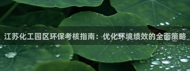 亿万先生合并最新消息：江苏化工园区环保考核指南：优化环境绩效的全面策略