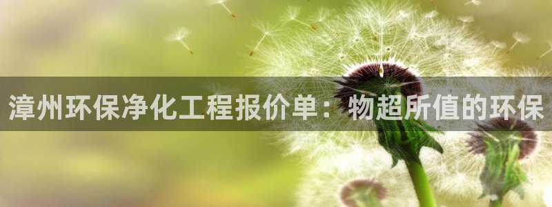 亿万先生客户端官网登录不上：漳州环保净化工程报价单：物超所值的环保