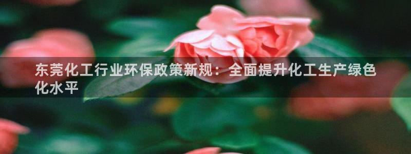亿万网友在线实时为您解答：东莞化工行业环保政策新规：全面提升化工生产绿色
化水平