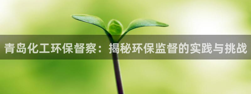 亿万购平台最新消息：青岛化工环保督察：揭秘环保监督的实践与挑战