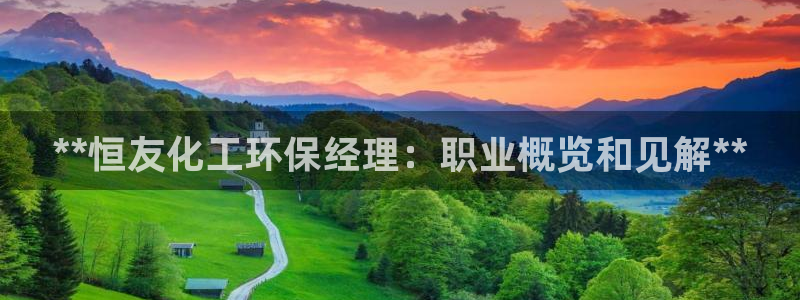亿万先生官方网站：**恒友化工环保经理：职业概览和见解**