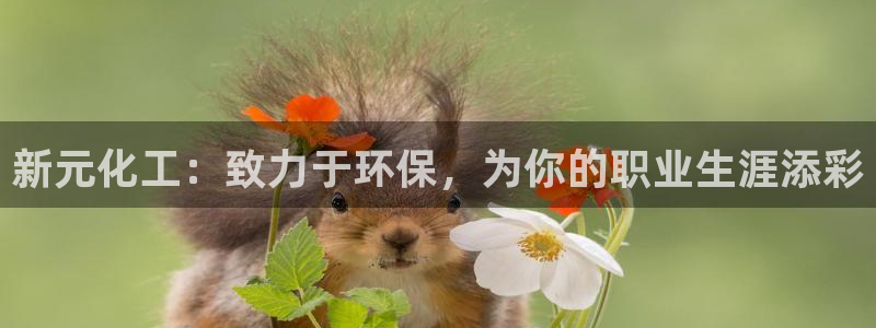 亿万先生网址改了吗：新元化工：致力于环保，为你的职业生涯添彩