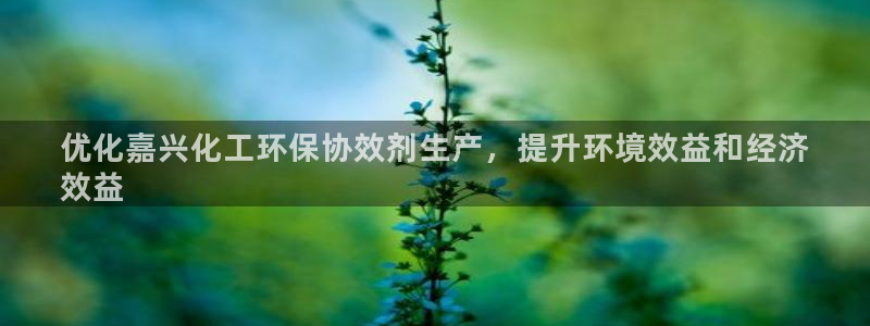 亿万网络科技有限公司ceo：优化嘉兴化工环保协效剂生产，提升环境效益和经济
效益