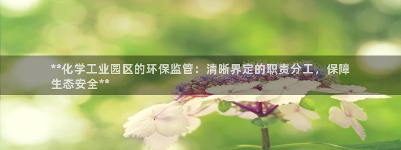 亿万先生客服联系：**化学工业园区的环保监管：清晰界定的职责分工，保障
生态安全**
