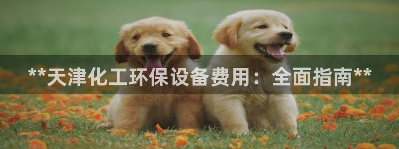 亿万百度吧：**天津化工环保设备费用：全面指南**