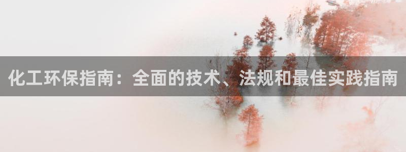 亿万先生 菲律宾：化工环保指南：全面的技术、法规和最佳实践指南