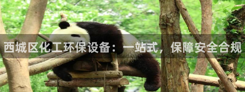 亿万第一季解说：西城区化工环保设备：一站式，保障安全合规