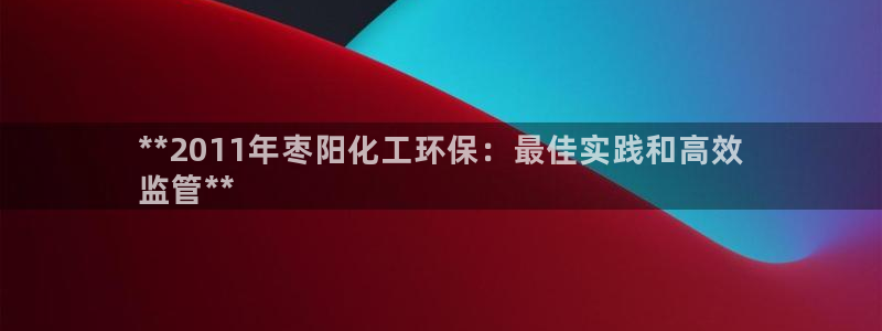 亿万先生充电桩：**2011年枣阳化工环保：最佳实践和高效
监管**
