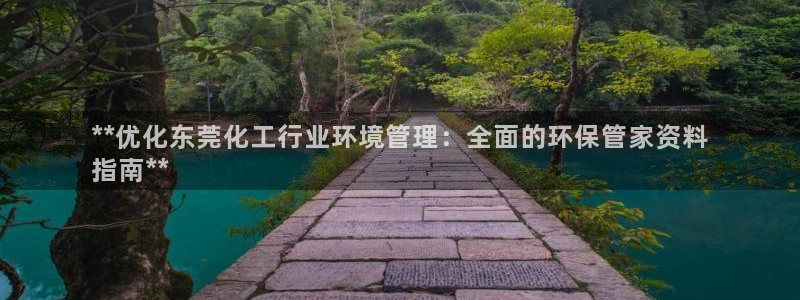 亿万剪辑：**优化东莞化工行业环境管理：全面的环保管家资料
指南**