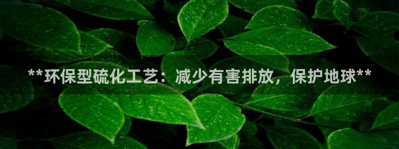 亿万国际：**环保型硫化工艺：减少有害排放，保护地球**