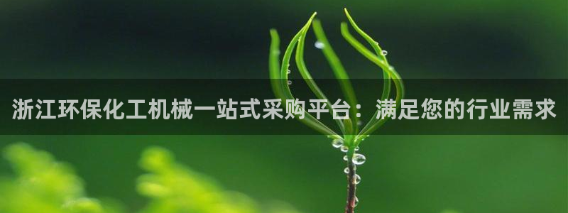 亿万国际app：浙江环保化工机械一站式采购平台：满足您的行业需求