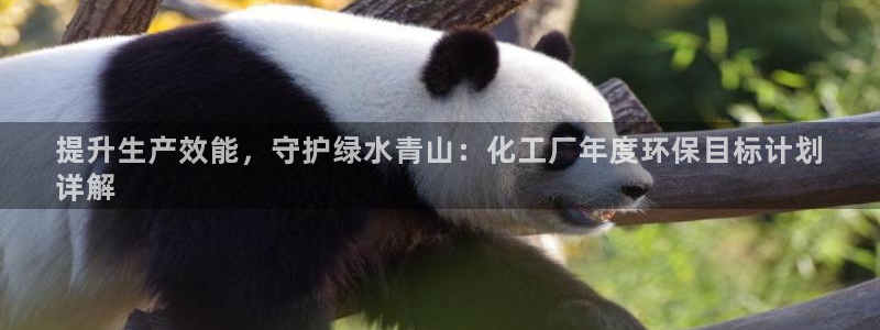 亿万先生手机客户端：提升生产效能，守护绿水青山：化工厂年度环保目标计划
详解