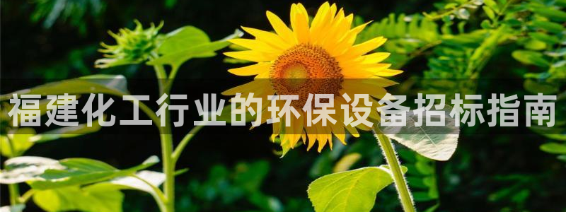 亿万购平台最新消息：福建化工行业的环保设备招标指南