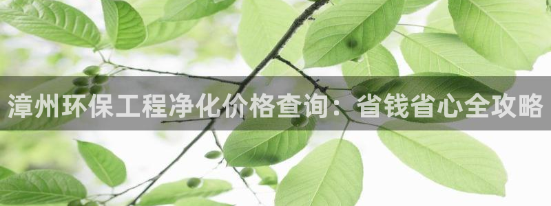 亿万啥意思：漳州环保工程净化价格查询：省钱省心全攻略