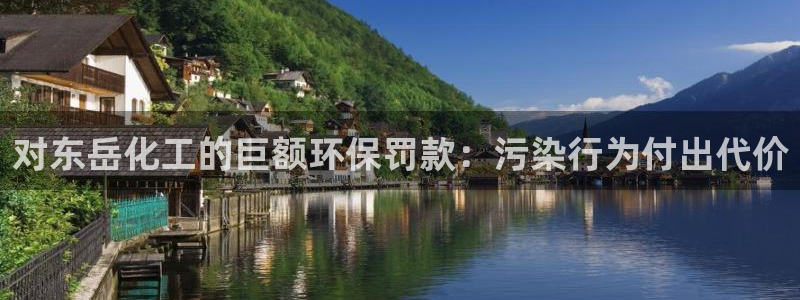 mr001亿万先生：对东岳化工的巨额环保罚款：污染行为付出代价