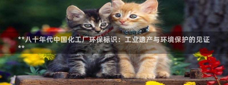 亿万钱包app下载：**八十年代中国化工厂环保标识：工业遗产与环境保护的见证
**