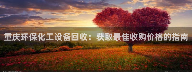 亿万城市手游：重庆环保化工设备回收：获取最佳收购价格的指南