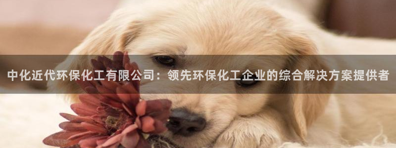 亿万先生m007：中化近代环保化工有限公司：领先环保化工企业的综合解决方案提供者