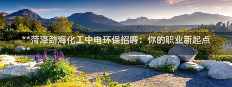 亿万手游平台官网：**菏泽劲海化工中电环保招聘：你的职业新起点
**