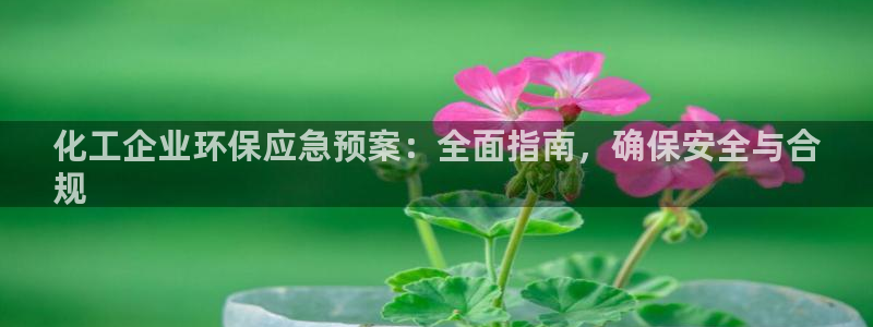 亿万先生 菲律宾
