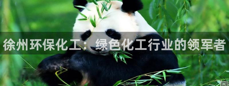 电影亿万：徐州环保化工：绿色化工行业的领军者