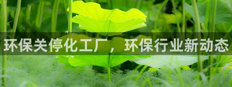 亿万先生mr01官网 - 亿万先生手机版入：环保关停化工厂，环保行业新动态