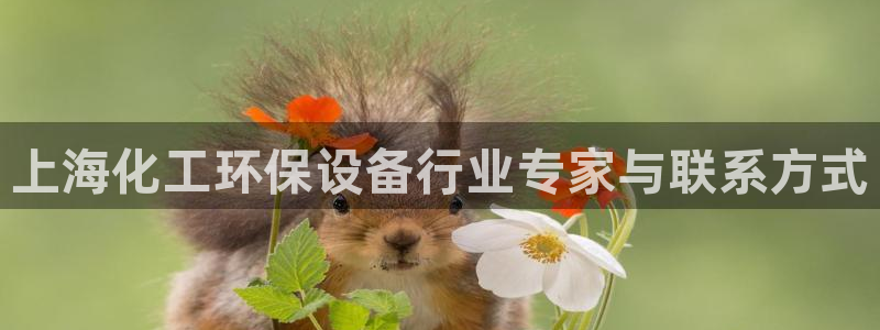 亿万先生mr008cc官网：上海化工环保设备行业专家与联系方式