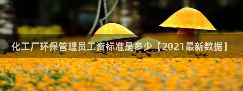 亿万啥意思：化工厂环保管理员工资标准是多少【2021最新数据】