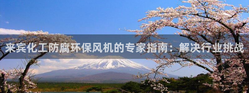 亿万先生mr07官网：来宾化工防腐环保风机的专家指南：解决行业挑战