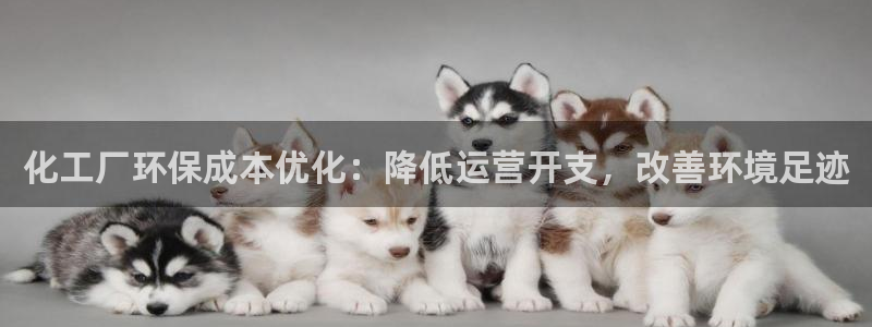亿万官网字幕：化工厂环保成本优化：降低运营开支，改善环境足迹