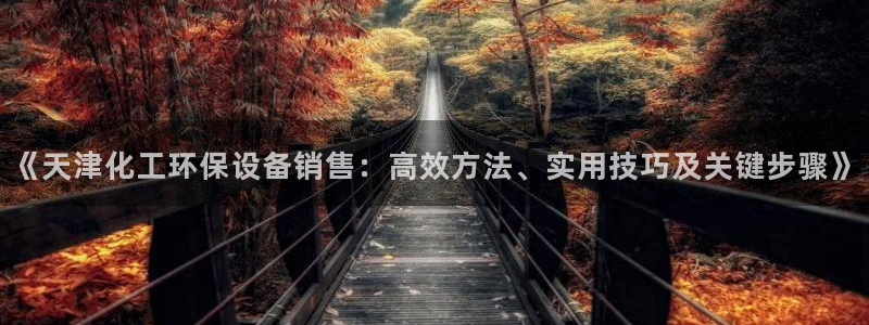 亿万先生官方网站首页：《天津化工环保设备销售：高效方法、实用技巧及关键步骤》