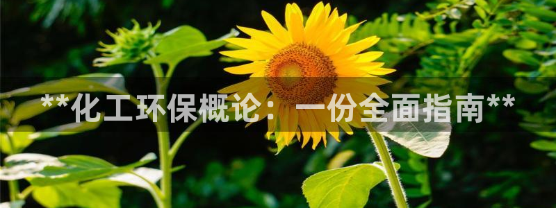 亿万百度吧：**化工环保概论：一份全面指南**