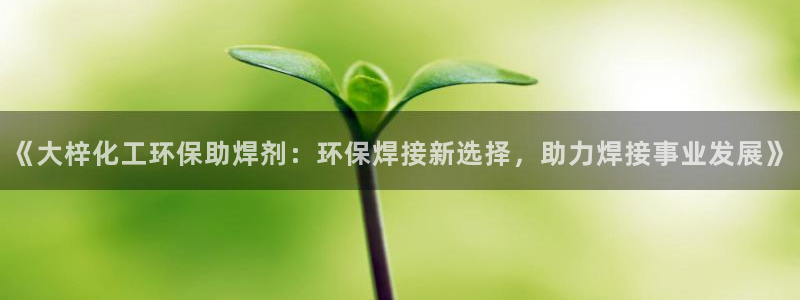 亿万先生客服联系：《大梓化工环保助焊剂：环保焊接新选择，助力焊接事业发展》